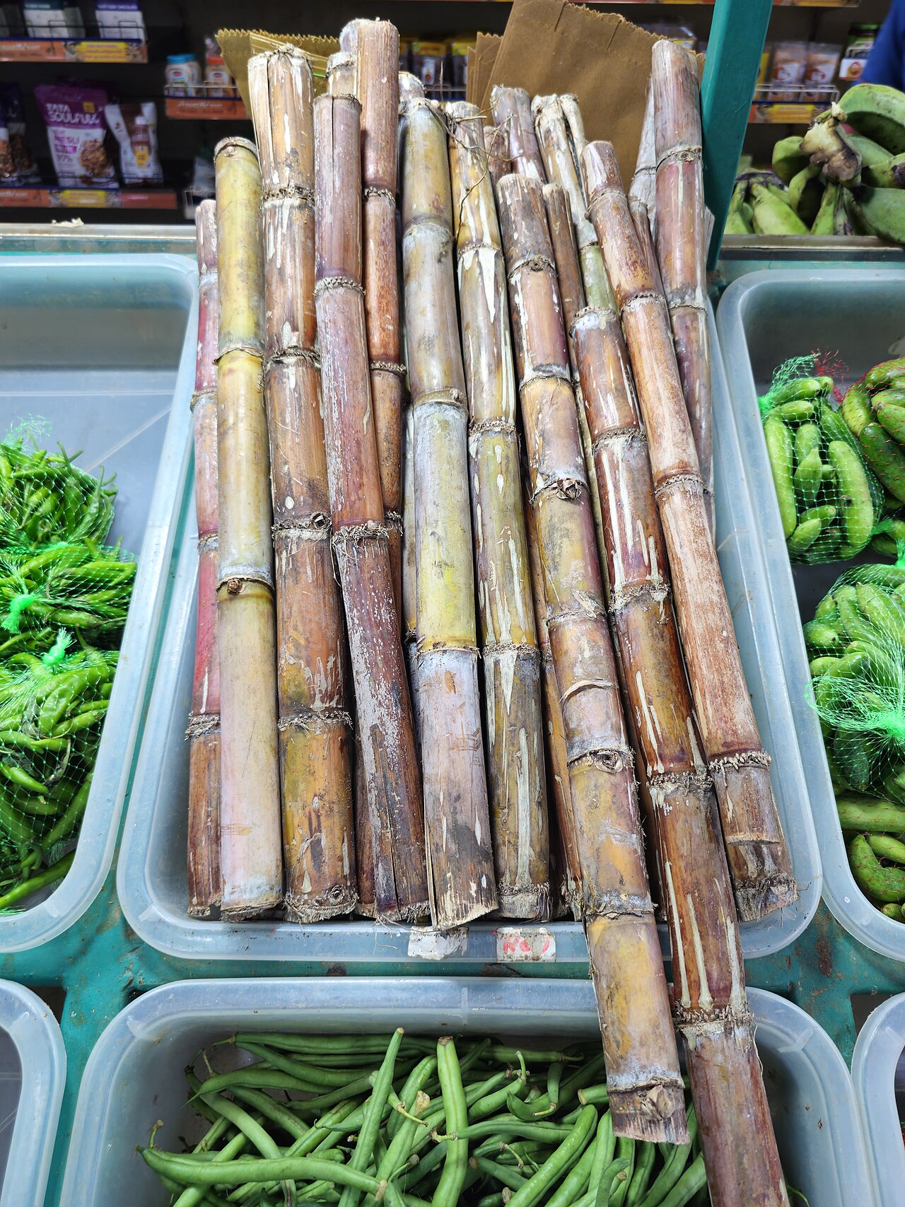 Sugarcane