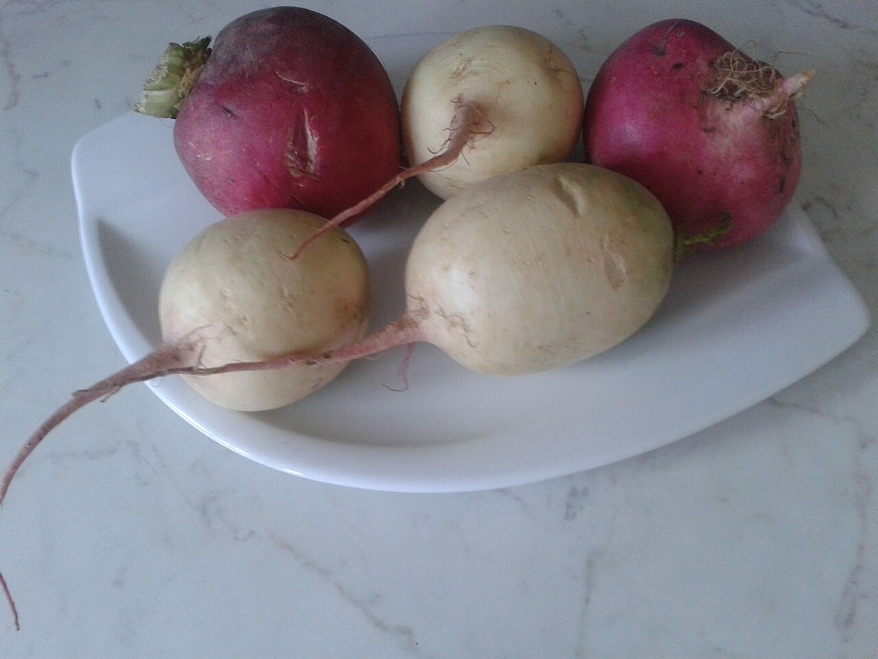 Turnip
