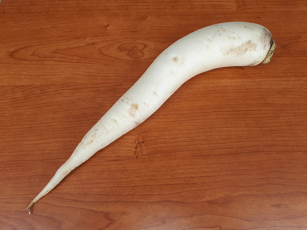 Turnip