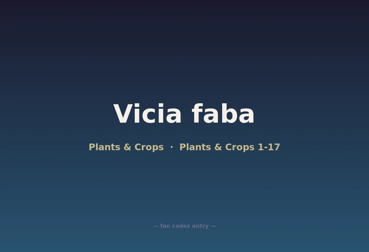 Vicia faba